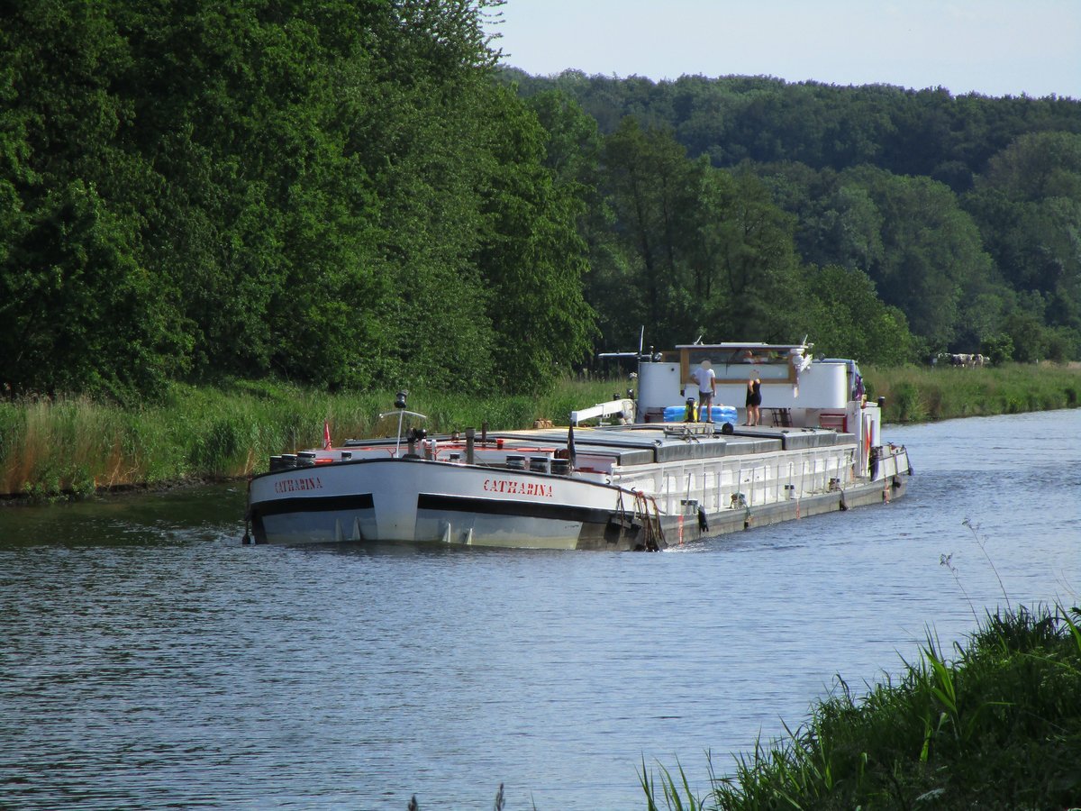 GMS Catharina (04400550 , 80 x 8,2m) am 02.06.2019 im Elbe-Lübeck-Kanal auf Talfahrt zw. Hollenbek und Göldenitz. 