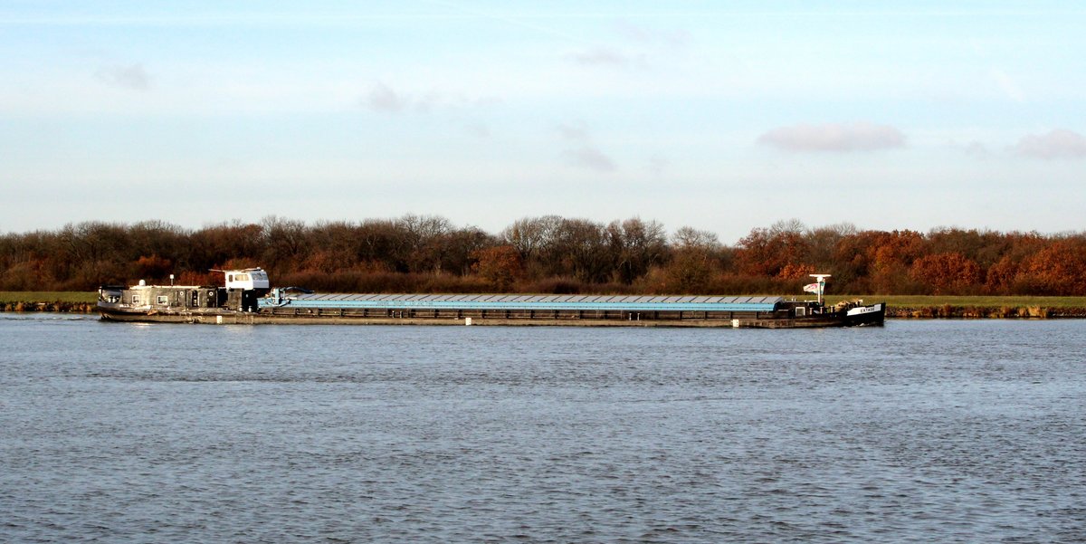 GMS Extase (04031050 , 67 x 8,2m) am 24.11.2016 auf dem Mittellandkanal im Bereich der Schleuse Rothensee in Fahrt Richtung Trogbrücke / Schleuse Hohenwarthe.