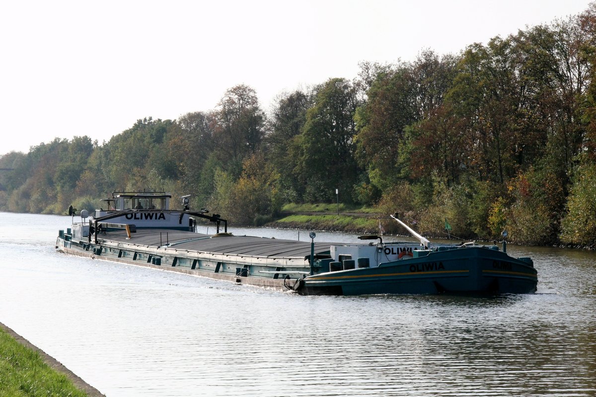 GMS Oliwia (02010538 , 80 x 9m) am 23.10.2019 im Mittellandkanal zw. Wedelheine und Edesbüttel auf Bergfahrt.