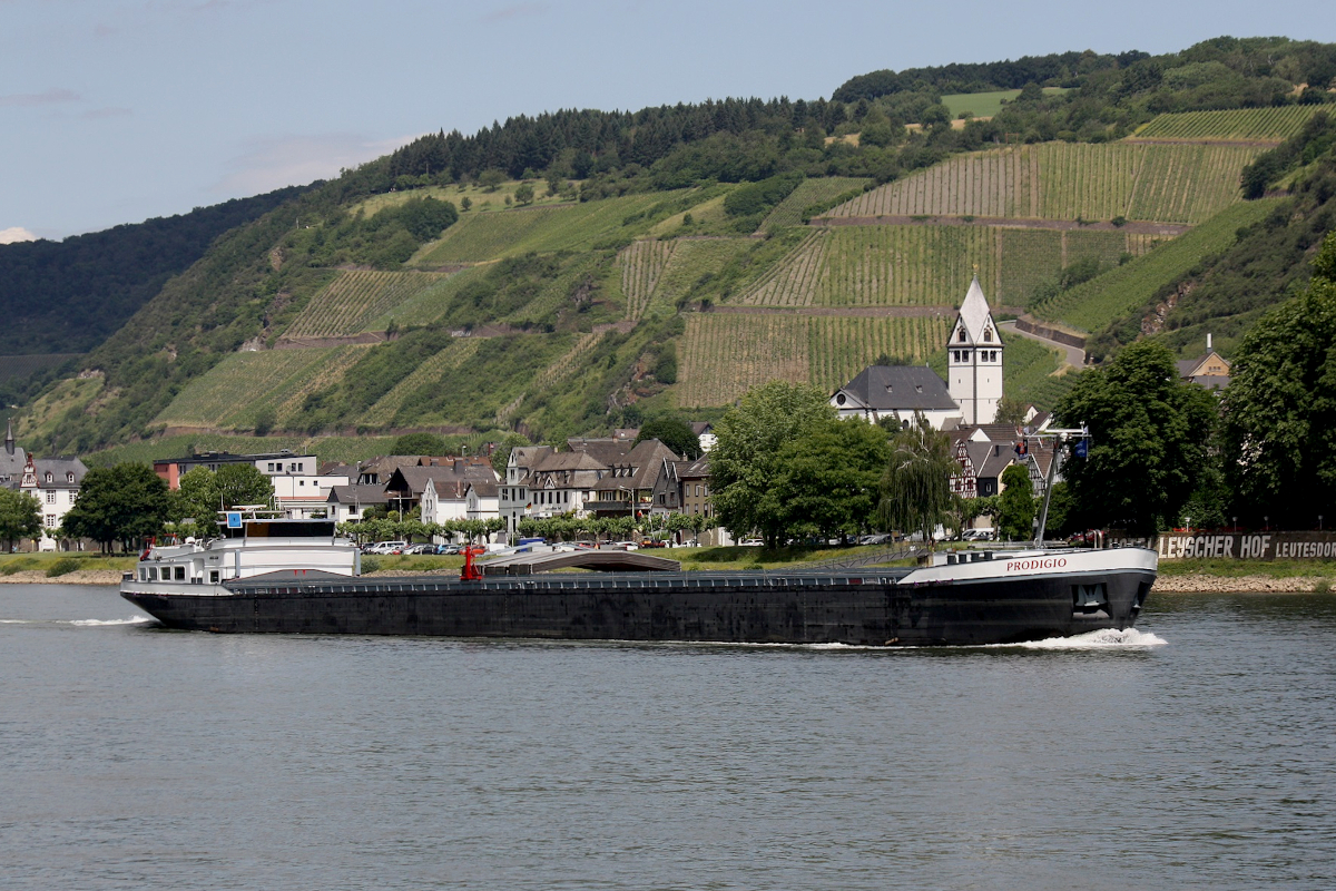 GMS PRODIGIO (ENI:06004032) L.110 m B.11,45 m T.3164 TEU 208 Flagge Niederlande auf dem Rhein zu Berg am 11.06.2022 in Andernach.