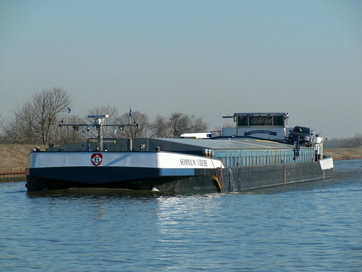 GMS Somnium Videre (04502920 , 105 x 11m) am 27.02.2019 im Mittellandkanal bei Elbeu auf Talfahrt Richtung Haldensleben.