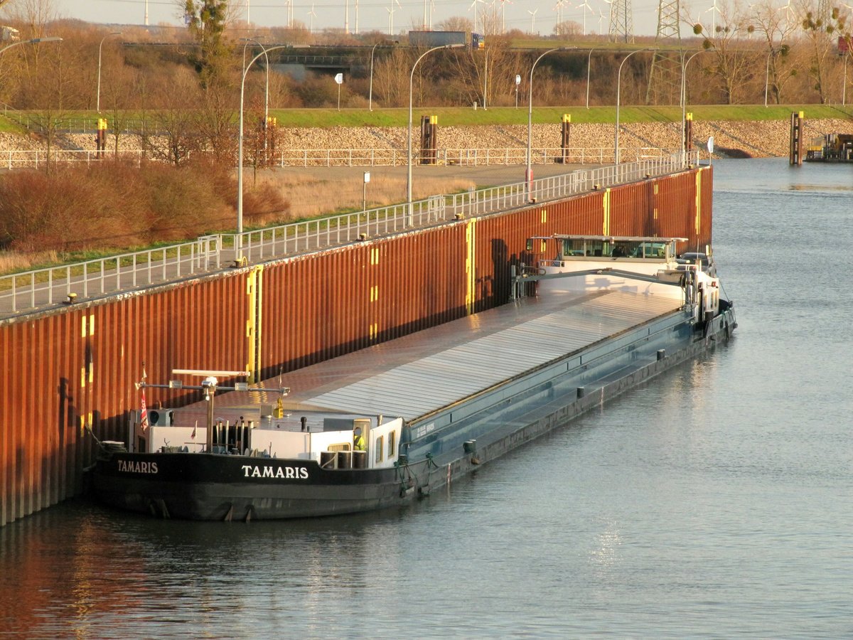 GMS Tamaris (06004226 , 105 x 9,5m) wartete am 25.02.2020 im Unterwasser der Schleuse Rothensee / Verbindungskanal auf die Bergschleusung zum Mittellandkanal.