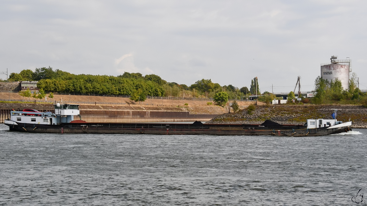 Im Bild das mit Kohle beladene Gütermotorschiff AURUM (ENI: 04400070), welches im August 2022 auf dem Rhein bei Duisburg unterwegs war.
