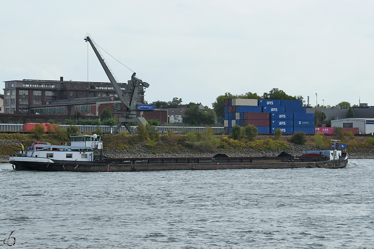 Im Bild das mit Kohle beladene Gütermotorschiff AURUM (ENI: 04400070), welches im August 2022 auf dem Rhein bei Duisburg unterwegs war.
