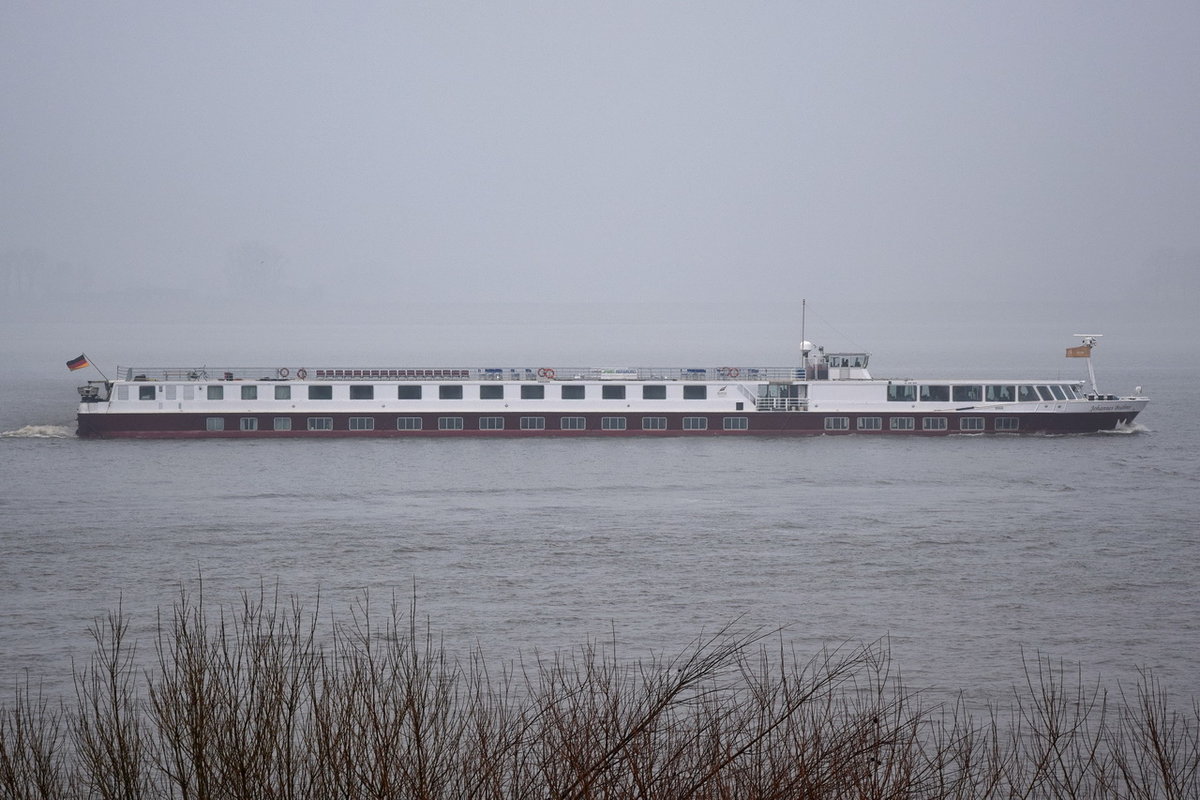 JOHANNES BRAHMS , Flusskreuzfahrtschiff , MMSI 211597760 , 72 x 10m , 10.03.2018 Grünendeich