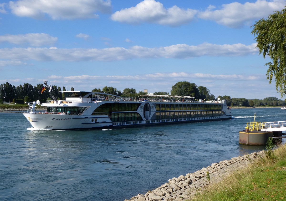 KFGS  Edelweiss , rheinaufwrts am Anleger Rastatt, Baujahr 2013, 110m lang, 180 Passagiere, Heimathafen Basel/CH, Sept.2015