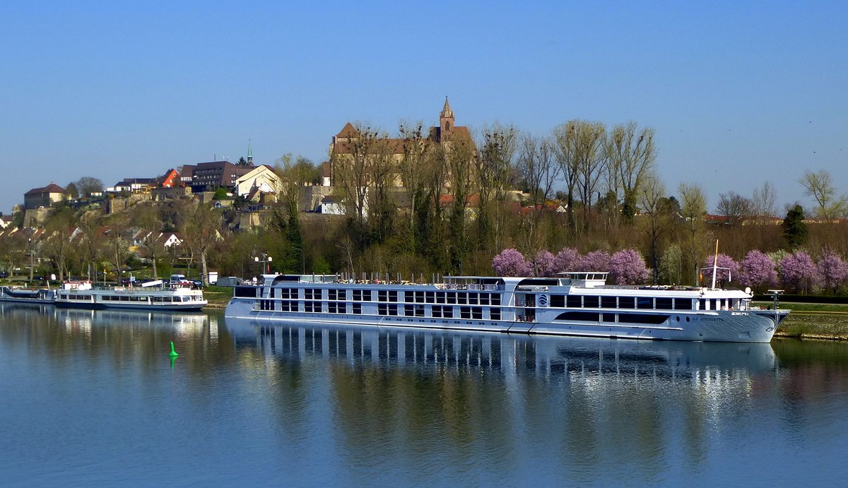 KFGS  S.S.Antoinette , am Anleger in Breisach am Rhein,2011 in Dienst gestellt, Heimathafen Basel/Schweiz, 135m lang, 160 Passagiere, 2434PS, Mrz 2017