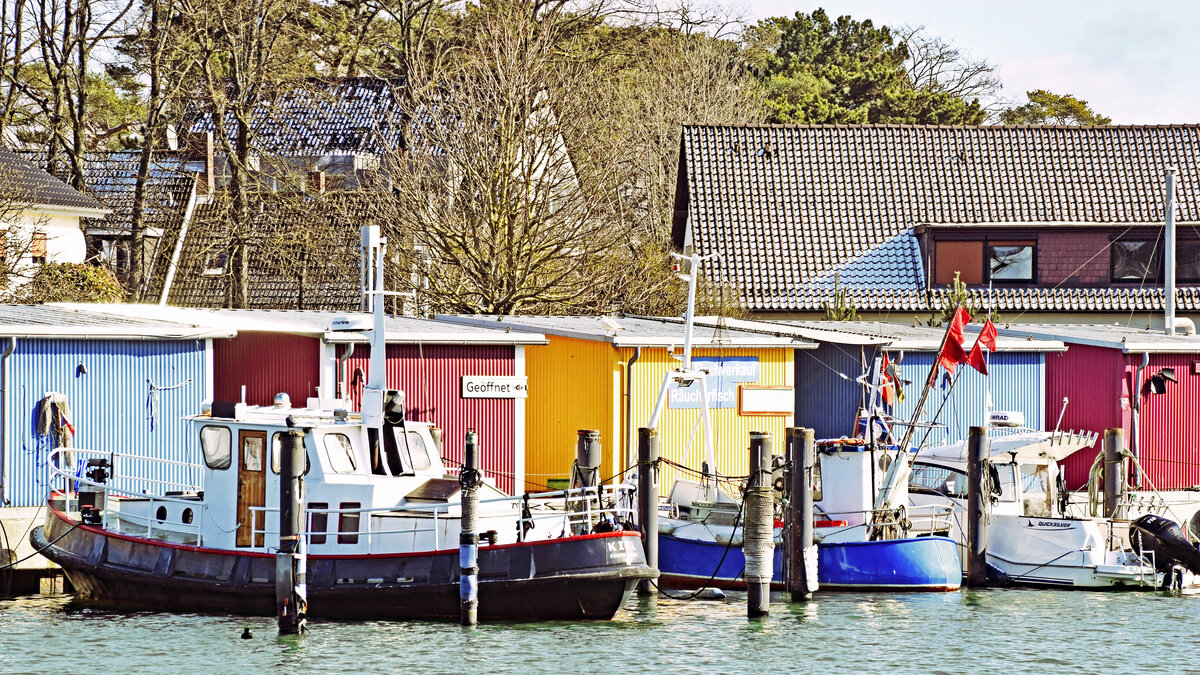 m Hafen von Niendorf / Ostsee ( 11.03.2023)