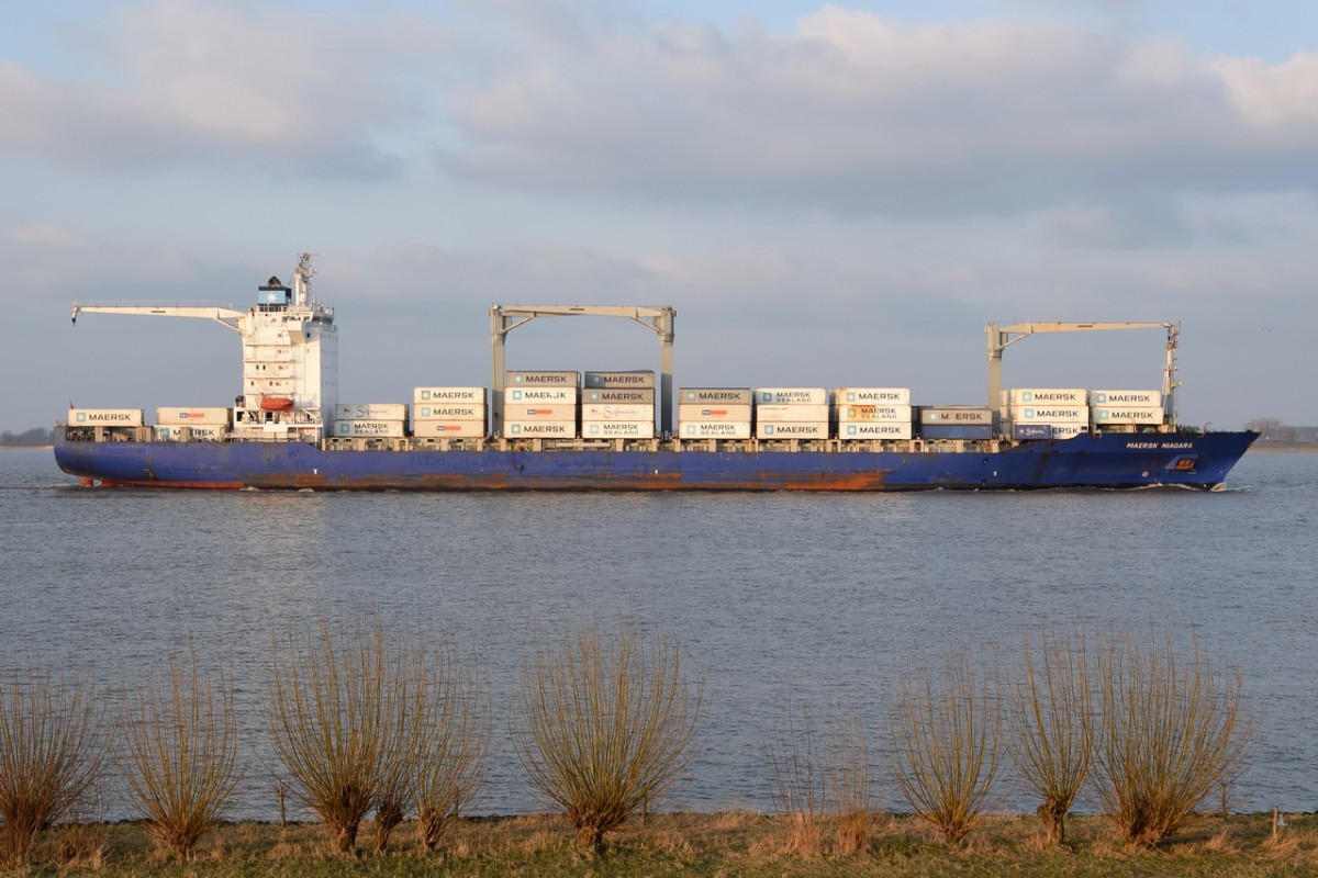 MAERSK NIAGARA , Containerschiff , IMO 9434905 , Baujahr 2008 , 210 x 30m , 2550 TEU , 13.03.2016 Grünendeich