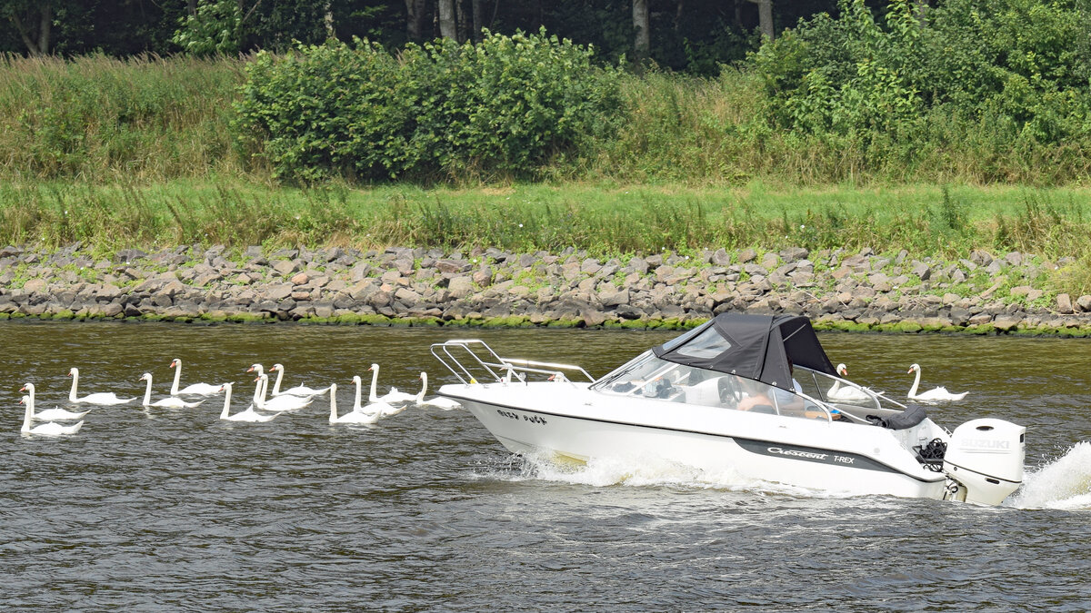 Motorboot GREY DUCK am 24.7.2021 im NOK (Nord-Ostsee-Kanal)
