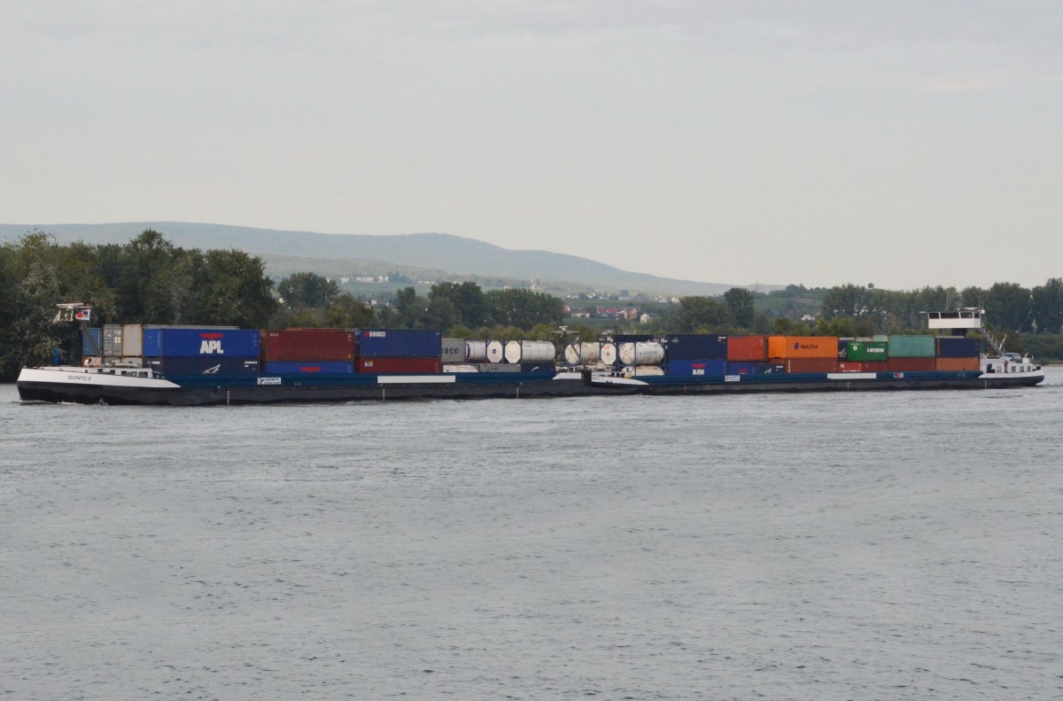 MS Quinto + Quinto 2, ein Container-Schubverband bei Rdesheim auf dem Rhein am 28.09.2013.