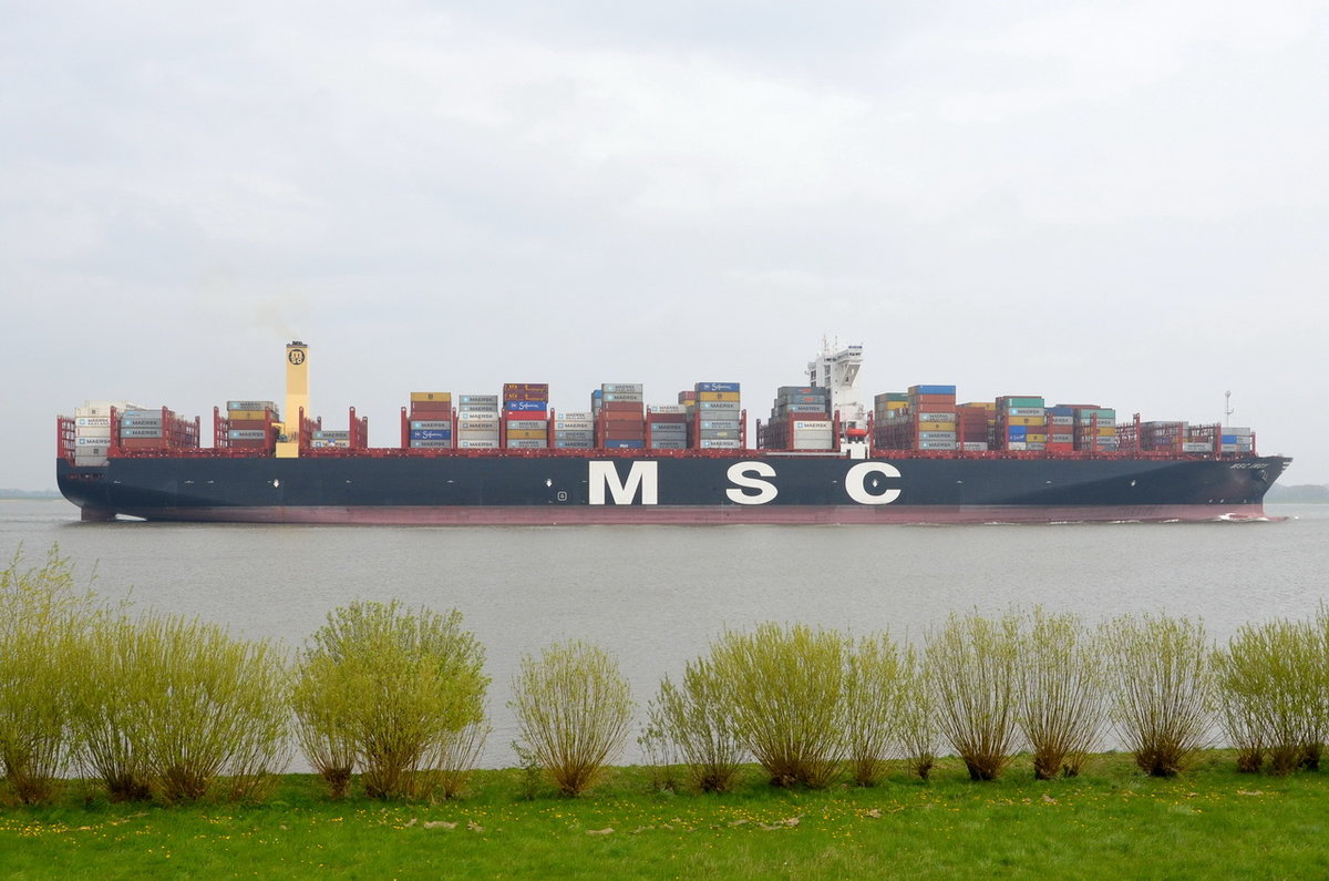 MSC INGY , Containerschiff , IMO 9755945 , Baujahr 2016 , 17590 TEU , 400 × 58.8m , 21.04.2017 Grünendeich
   