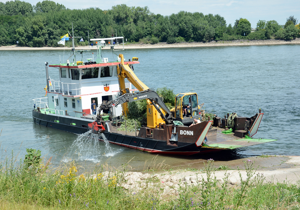 Raupenbagger bei der Reinigung seiner Schaufel nach getaner Arbeit an Bord der  Bonn , Rhein in Wesseling - 23.06.2014