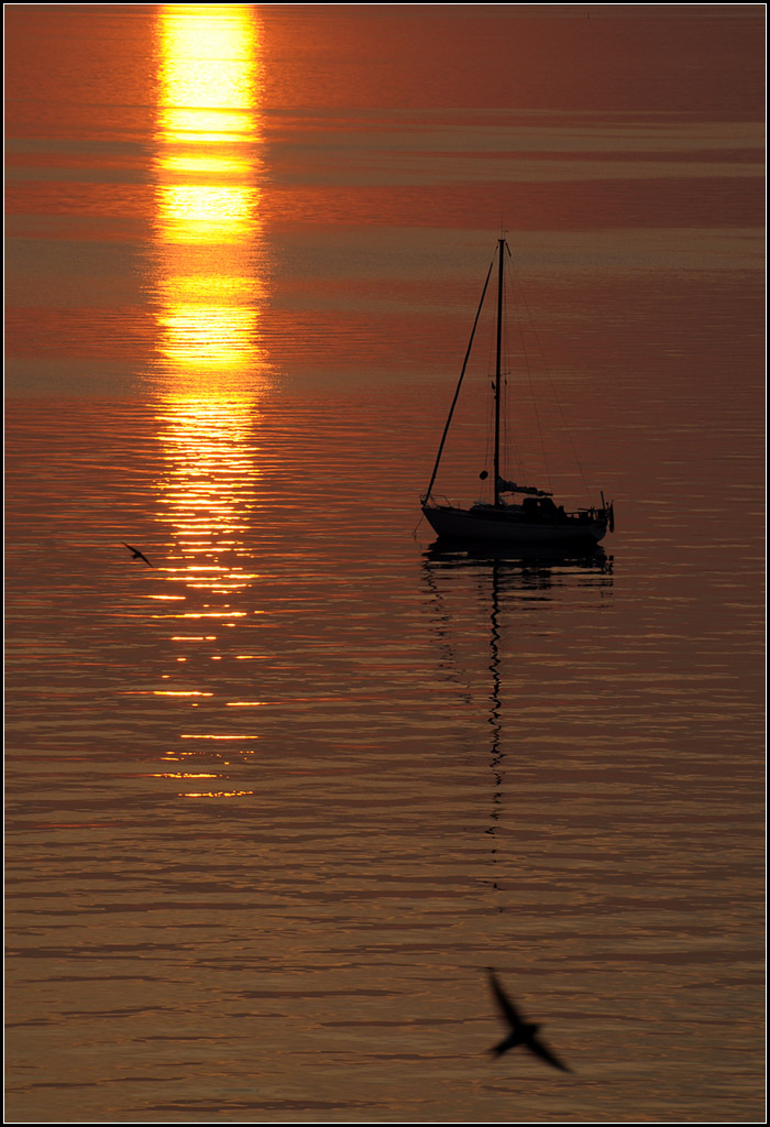 Sonnenuntergangsstimmung an der Ostsee -

Segelboot vor der kleinen Insel Ruden in der Nähe von Peenemünde.

21.07.2018 (J)
