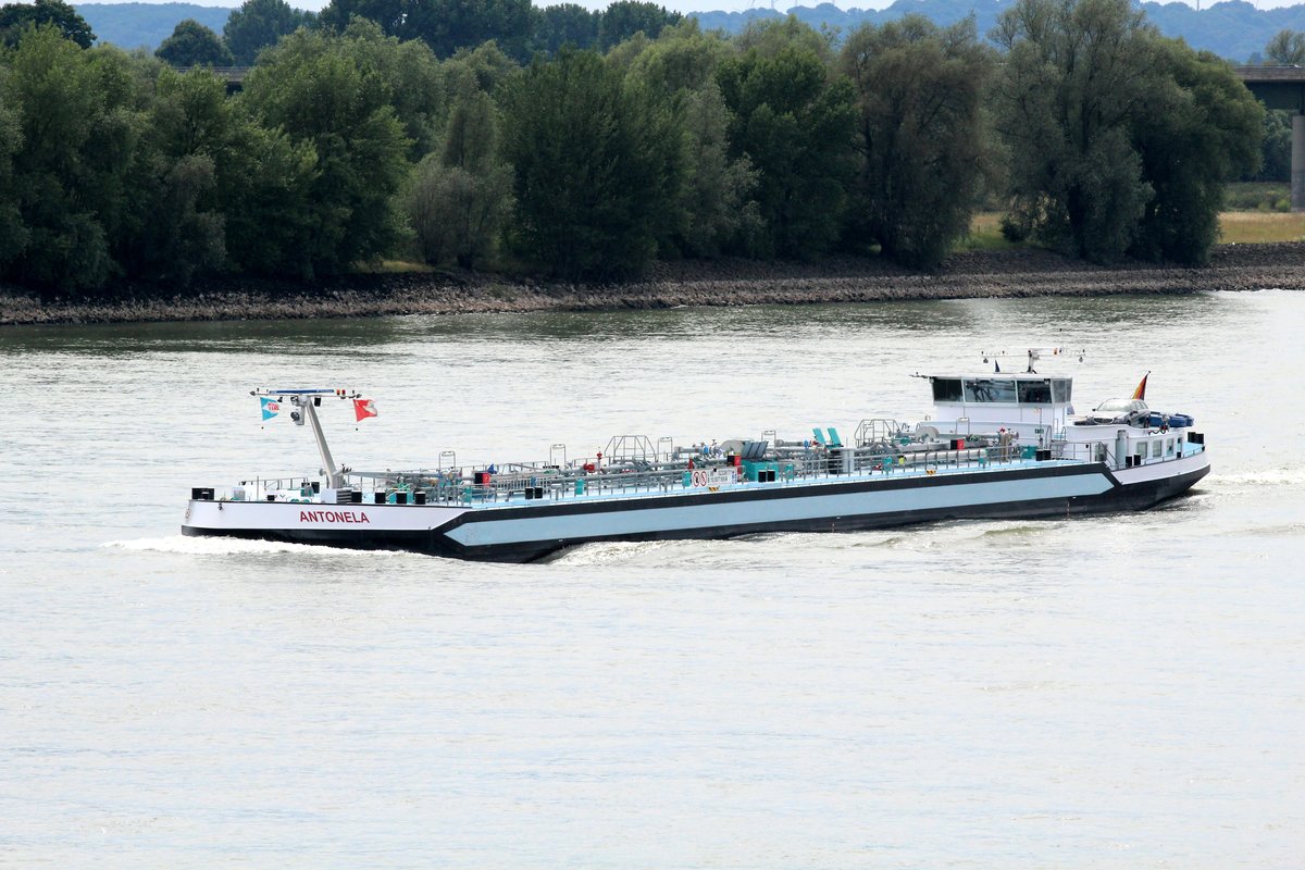 TMS Antonela (02336171 , 86 x 10,50m) am 06.07.2017 auf dem Rhein bei Rees zu Berg. 