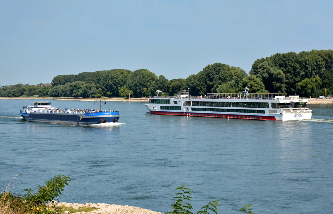 TMS  Mercury  und KFGS  Rhein Melodie  begegnen sich auf dem Rhein bei Hersel - 31.08.2016