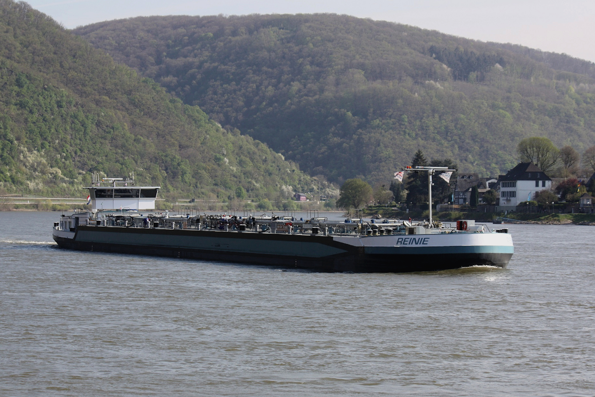 TMS REINIE (ENI:02335106) L.110 m B.11,45 m T 3214 Flagge Niederlande auf dem Rhein zu Tal am 15.04.2022 in Braubach.
