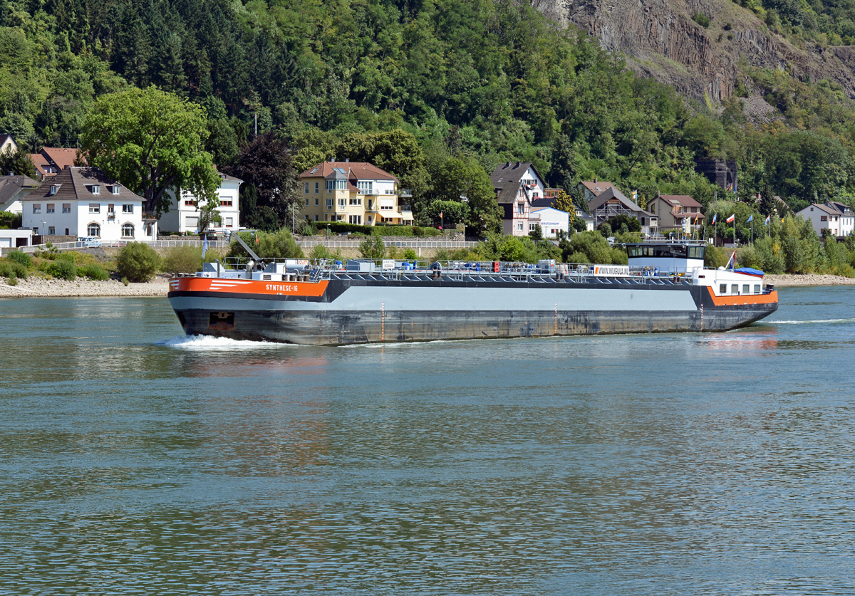 TMS  Synthese-16  auf dem Rhein bei Erpel - 05.08.2015