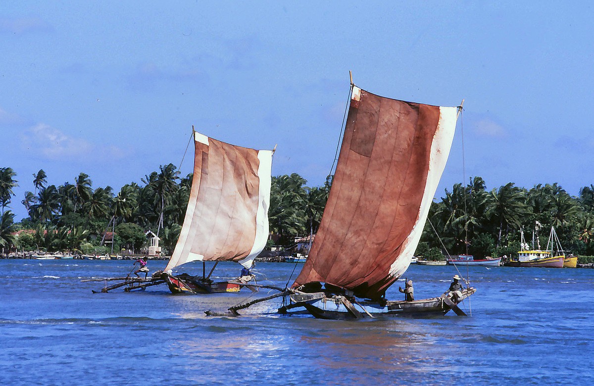 Traditionelle Segelboote in Negombo, Sri Lanka. Aufnahme: Januar 1989 (Bild vom Dia).