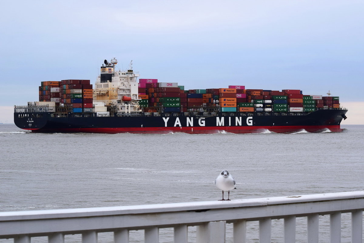 YM EVOLUTION , Containerschiff , IMO 9496460 , Baujahr 2014 ,  259 x 37.3 m , 4662 TEU , 15.03.2020 , Cuxhaven