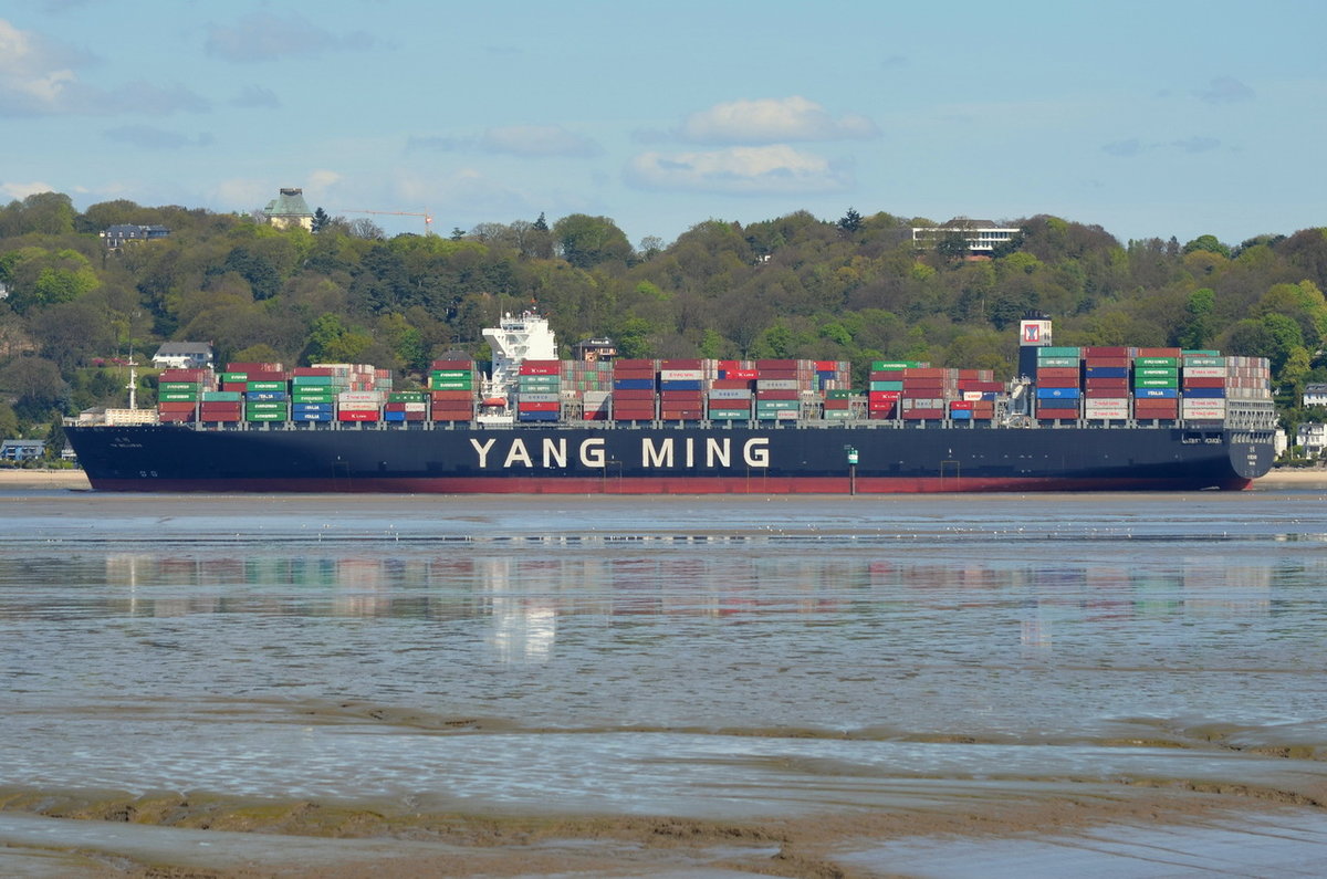 YM WELLHAED , Containerschiff , IMO 9684665 , Baujahr 2015 , 14080 TEU , 368 x 51m , 09.05.2017  Hamburg-Cranz