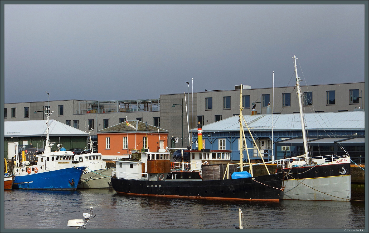 Historische Schiffe liegen am 25.05.2023 in Trondheim vor Anker. Links die  Harry Borthen  und das Inspektionsschiff  Sørhavn , rechts u.a. der 1891 gebaute Dampfschoner Værdalen .