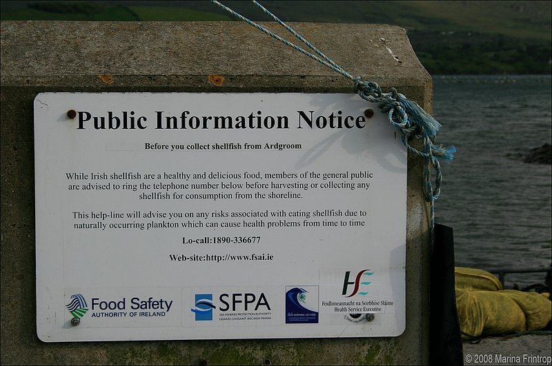 Am Hafen von Ardgroom - Das irische Gesundheitsministerium informiert...