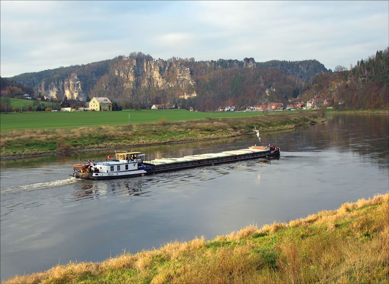 Das tschechische Frachtschiff ZECA aus Praha (Prag) auf der Elbe abwrts bei Kurort Rathen (Schsische Schweiz); 20.11.2006
