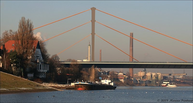 Der Rhein bei Duisburg. Links das Gebude gehrt zur Schiffsverwaltung GmbH Ruhrort, davor liegt die  Bjorn . 