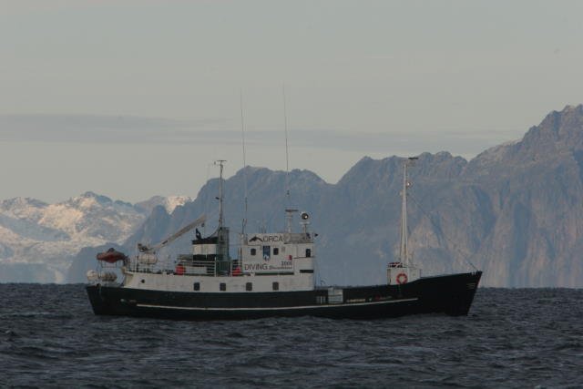 Die M/S  Langysund  bei der Orca-Safari im Vestfjorden. Im Hintergrund sieht man die Lofoteninsel Austvgya; 26.10.2005