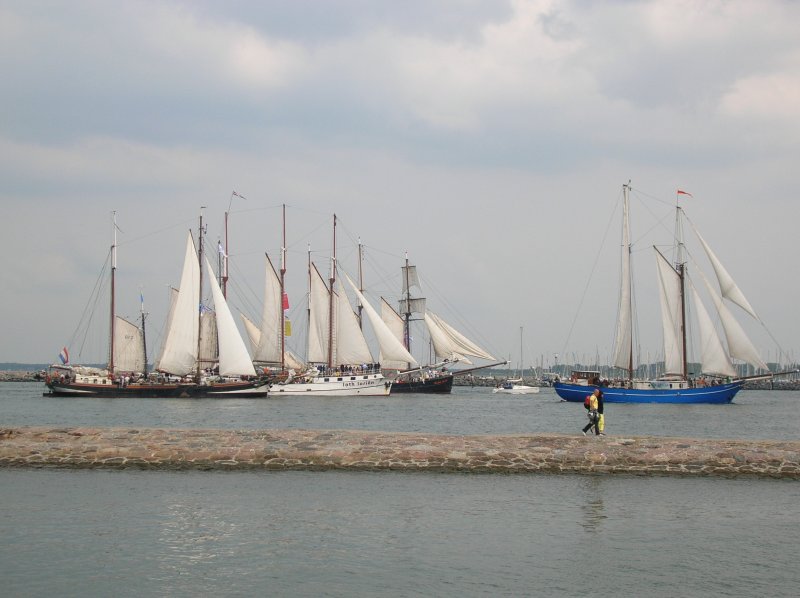 Einlaufen nach der Ausfahrt anlsslich der Hanse Sail 2006. Der  weie Schwan  in der Mitte ist die J.R. Tolkin