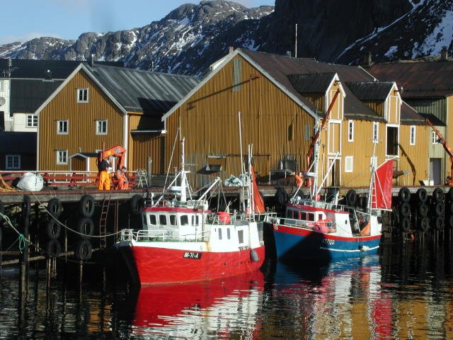 Fischerboote an der Fischfabrik in Nusfjord. Der kleine hufeisenfrmige Hafen auf der Insel Flakstdya ist eins der bekanntesten Lofot-Motive; 12.03.2004