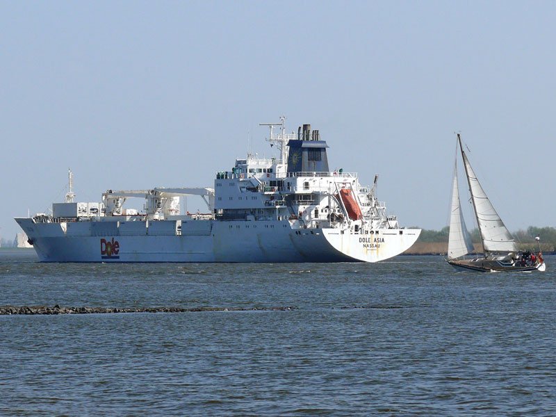 Mit diesem Foto vom Frachter DOLE ASIA, Nassau, Bahamas (IMO-Nummer 9046526)  und einer Segeljacht auf der Elbe bei Hamburg-Blankenese am 10.04.2009 wnsche ich allen Liebhabern von Schiffbildern Frohe Ostern
