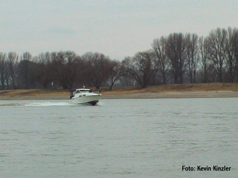Sportboot auf dem Rhein  