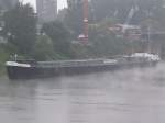 Die niederlndische  Cazador  liegt hier im Ruhrorter Hafen. Wie man sieht, war das Wetter alles andere als gut. Es go wie aus Kbeln, aber ich fand den Nebel, der ber das Wasser kriecht ganz interessant. Das Foto stammt vom 29.07.2007