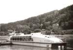 Gleitboot NEWA der Weien Flotte Dresden in der Schsischen Schweiz. Die Weie Flotte besa zwei Boote dieses russischen Types Sarja, angekauft 1975 und 1976, welche aber auf Grund des hohen Kraftstoffverbrauchs bald wieder von der Elbe verschwanden.