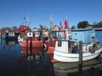 Fischerboote im Niendorfer Hafen... Aufgenommen: 26.2.2012