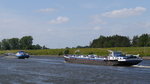 Die beiden TMS ASFRA, Dortrecht 02321983 und WALTER DEYMANN 04807460 Haren/Ems im unteren Schleusenkanal Geesthacht die Elbe zu Tal; 10.06.2016  