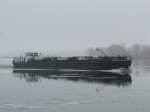 Tanker  NAVIO  (L 85m, B 9m) auf der Elbe zwischen Geesthacht und Krmmel, 04.01.2009  