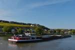  . Frachtschiff  SAVIRO , IMO Nr. 06002371, mit Drahtrollen beladen, fährt auf der Mosel Flußabwärts an dem Ort Schengen vorbei. 19.10.2014