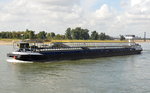 Barco Autotransporter auf dem Rhein bei Dsseldorf am 26.09.16, Heimathafen: Zwijndrecht.