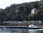 Das Güterschiff SALVA (ENI: 02313808) ist auf dem Rhein unterwegs.