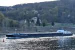 Das Güterschiff SALVA (ENI: 02313808) ist auf dem Rhein unterwegs. (Unkel, April 2021)