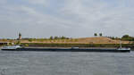 Das Gütermotorschiff ICARIA (ENI: 02328050) fährt den Rhein hinauf.