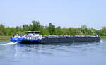 TMS Bitumina, Bitumentankschiff, Heckansicht, auf der Fahrt rheinabwärts nördlich von Breisach am Rhein, April 2024
