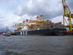 MSC Bettina 366x52 m, 156000 tdw, 98000 PS. Bremerhaven, Containerterminal, fotogrfiert anlsslich der Sail am 29.08.2010.