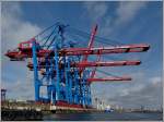 Containerkrne am Terminal Tollerport warten auf das nchste Schiff, aufgenommen im Hamburgerhafen whrend einer Hafenrundfahrt am 17.09.2013.