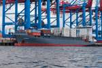 Der Containerfeeder  Akacia  IMO:9315020, am Burchardkai im Hamburger Hafen...