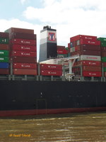 YM WHOLESOME (IMO 9704611) am 16.8.2016, Schornsteinmarke der Yang Ming Marine Transport Corporation, Hamburg, Elbe, Höhe Blankenese  /   Containerschiff / BRZ 144.651 / Lüa 368 m, B 51 m,