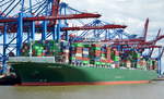 Das große Containerschiff von EVERGREEN Name:  THALASSA MANA , Baujahr: 2014 Länge: 368.50 m Breite: 51,00 m Tiefgang: 15,80 m Maschinenleistung: 53250 KW Geschwindigkeit: 23,00 Kn Container: 13808 TEU am 20.07.20 Hamburger Hafen (Finkenwerder).